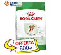 Royal Canin Chien → Adulte MINI ÂGE 12+ - 800 Gr / 1,5 / 3,5 Kg Croquettes Chien