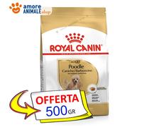 Royal Canin Chien → Adulte, POODLE (BARBONCINO) - 500 Gr / 1,5 Kg - Pour Chien