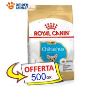 Royal Canin Croquettes Chihuahua Puppy – Aliment complet pour chiots jusqu'à 8 mois – 500 g