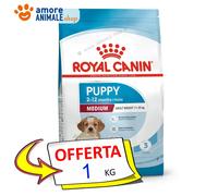 Royal Canin Chien → Chiot Moyen - 1 / 10 / 15 Kg - Croquettes Chien Sec