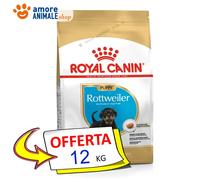 Royal Canin Chien → Chiot, ROTTWEILER - 12 KG - Croquettes Pour Chiens, Sec