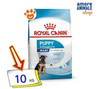 Royal Canin Dog Puppy Maxi Dry 2-15 Mois 10kg