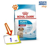 - Royal Canin – Croquettes Medium Puppy – Chiot 2–12 mois, races moyennes – 1 kg - Royal Canin – Croquettes Medium Puppy – Chiot 2–12 mois, races moyennes – 2 x 1 kg - Royal Canin – Croquettes Medium Puppy – Chiot 2–12 mois, races moyennes – 4 x 1 kg - Royal Canin – Croquettes Medium Puppy – Chiot 2–12 mois, races moyennes – 30 kg (2 x 15 kg)