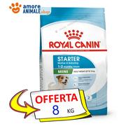 Royal Canin Chien → Mini, STARTER Mère & Bébédog - 1 / 8 kg - Croquettes