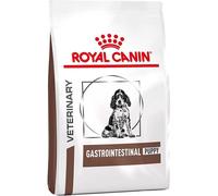 Royal Canin Croquettes pour chiots Gastro Intestinal Junior – troubles intestinaux – 2,5 kg