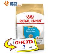 Royal Canin Chien → Puppy, Labrador Retriever - 3/12 KG - Croquettes Chien,