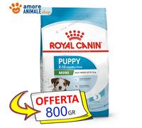 Croquettes pour Chien - Royal Canin - Mini Junior - 800 g - Croissance saine - Haute digestibilité