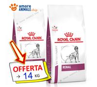 Royal Canin Chien → Vétérinaire RÉNAL - 2 / 7 / 14 kg - Régime Chien Croquettes