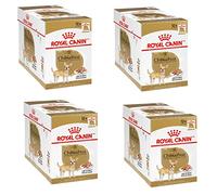 Royal Canin Chihuahua Adult | Pack de 4 | 4 x 12 x 85 g |Aliments humides pour Chihuahuas Adultes | pour favoriser la qualité des selles et la santé Dentaire | Grande Acceptation