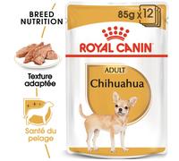 ROYAL CANIN Chihuahua Adult 12x85g