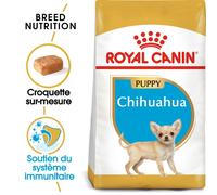 Royal Canin Chihuahua Puppy | 500 g | Alimentation Complète Spécialement pour les Chiots Chihuahua | Jusqu'à 8 mois | Peut Contribuer à la Réduction des Odeurs de Selles