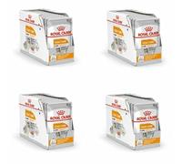 Royal Canin Coat Care Loaf | 12 x 85 g | Aliment Complet pour Chiens Adultes de Toutes Races | Peut Aider à Soutenir la santé de la Peau et du Pelage