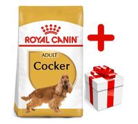 Royal Canin Cocker Spaniel Adult 12kg+Surprise