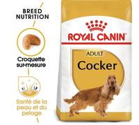 ROYAL CANIN Cocker adult 12 kg