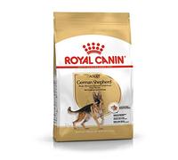 ROYAL CANIN Croquettes Berger Allemand 24 Adulte 3kg