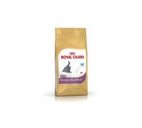 Royal Canin - Croquettes British Shorthair pour Chaton - 2Kg