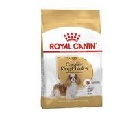 Royal Canin Croquettes Cavalier King Charles Adulte 1,5 kg