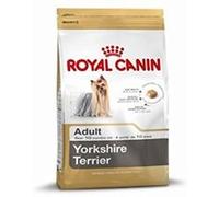 Royal Canin - Croquettes Chiens - Yorkshire Terrier 28 - 500 G G