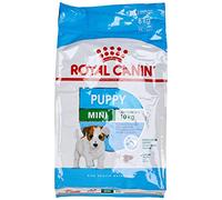 Royal Canin/Croquettes Chiot Petite Race/Mini Junior - Sac de 8 Kg