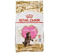 Royal Canin - Croquettes pour chaton maine coon - 10 kg