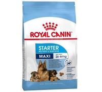 ROYAL CANIN Maxi Starter Mother & Babydog 15kg