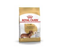 ROYAL CANIN Dachshund Adult | 500 g | Aliment Complet pour teckels Adultes à partir de 10 Mois | Soutient Les os et Les articulations | avec Calcium et phosphore