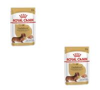 Royal Canin Dachshund Adult Mousse | 12 x 85 g | Aliment Complet pour Chiens | pour teckels Adultes | Peut Aider à protéger Les os et Les articulations