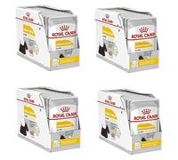 ROYAL CANIN DERMACOMFORT Mousse | 12 x 85 g | Nourriture Humide pour Chiens Adultes à partir de 10 Mois | pour Les Peaux sensibles | avec acides Gras oméga-3 et -6