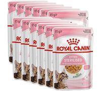 Royal Canin Pâtée pour chatons Kitten Stérilisé en sauce Système urinaire sain 12 x 85 g