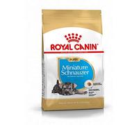 Royal Canin Miniature Schnauzer Junior 1,5 Kg