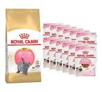 Royal Canin Duopack Kitten Bouchées En Sauce 12x85g + Kitten British Shorthair 2kg