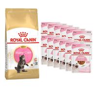 Royal Canin Duopack Kitten Bouchées En Sauce 12x85g + Kitten Maine Coon 10kg