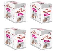 Royal Canin Exigent Viande Universel 85 g