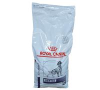 Croquettes Chien Veterinary Dog Dental - Royal Canin