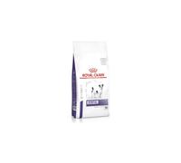 Royal CANIN Expert Dental Small Dogs | 1500 g | Aliment Sec pour Chiens | Aliment Complet pour Chiens de Petite Taille Adulte | Sensibilité de la cavité buccale