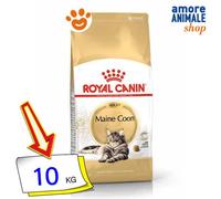 Royal Canin Croquettes Maine Coon Adulte – Sac 10 kg – Prémium