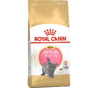 Royal Canin British Shorthair Kitten croquette pour chat 2 kg Chatons Volaille, Riz, Légumes
