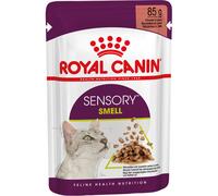 Royal Canin Feline Health Nutrition Sensory Smell In Gravy 12x85g