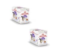 Royal Canin Feline Sterilised | Pack Double | 2 x 12 x 85g | Aliment Complet pour Chats Adultes castrés | Petits Morceaux en gelée | A partir de 12 Mois