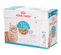 Royal Canin Feline Health Nutrition Ageing 11+ In Jelly 12x85g