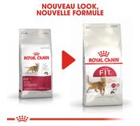 Royal Canin FIT 32 Croquettes pour chats actifs | 2 kg | Alimentation complète pour chats adultes | Pour soutenir le poids et la formation des boules de poils