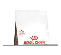 Royal Canin Gastro Intestinal Kitten - Aliment diététique pour chatons 2 kg