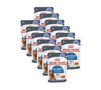 Royal Canin - Gelée Pour Chat Royal Canin: Ultra Light (X12) Roy Light Gelée 12 Sachets