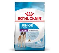 Royal Canin Nourriture pour jeune chien Giant Junior 31 Très grandes races 15 kg