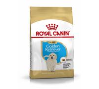 ROYAL CANIN Golden retriever junior 3 kg