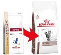 GEFU - Carafe à mousse 600ml CLAUDIO