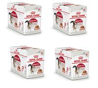 Royal Canin Instinctive Gravy | Pack de 4 | 4 x 12 x 85 g | Nourriture Humide pour Chats Adultes | Petits Morceaux en Sauce | pour Soutenir Un Mode de Vie sain