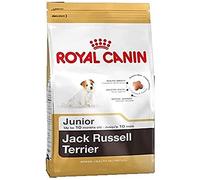 ROYAL CANIN/Jack Russel Terrier Junior Sac de 3 kg Croquettes pour chiot Jack Russel Junior de 2 à 10 mois
