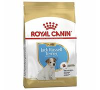 Royal Canin Croquettes Jack Russel Terrier Puppy – Chiot jusqu'à 10 mois, immunité, 1,5 kg