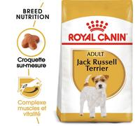 Royal Canin Croquettes pour chien Jack Russel Terrier Adult – À partir de 10 mois – 1,5 kg